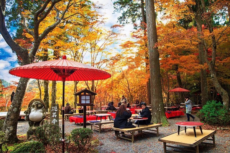 🍁 즈이호지 공원 이미지 4